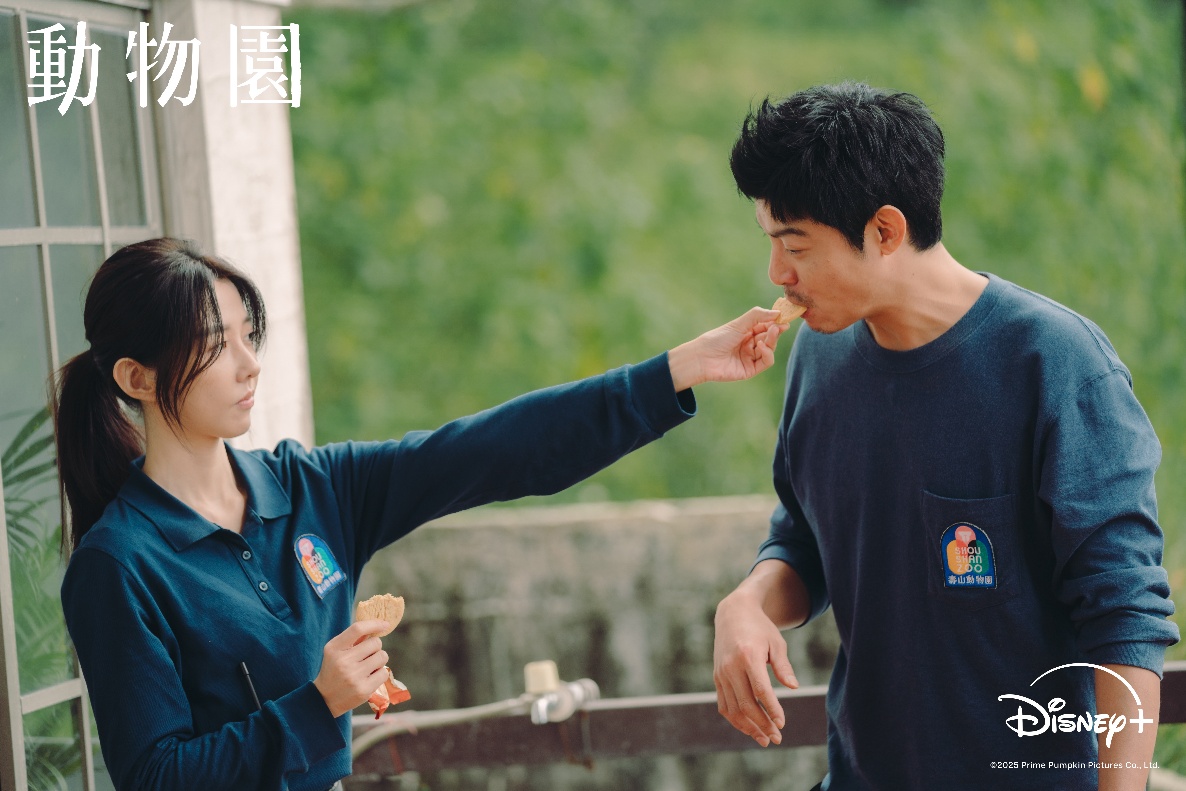 Disney+ 台劇《動物園》本週迎精彩結局！