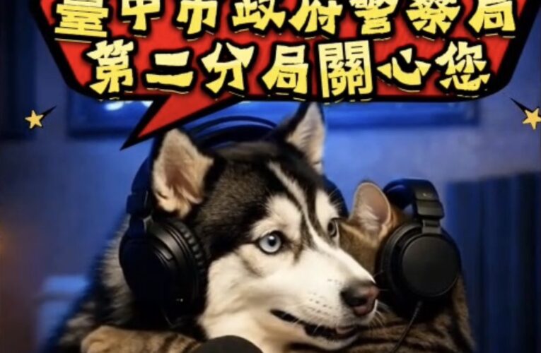 「不拆家改拆詐騙」　二哈與虎斑貓聯手揭露三大常見詐騙手法