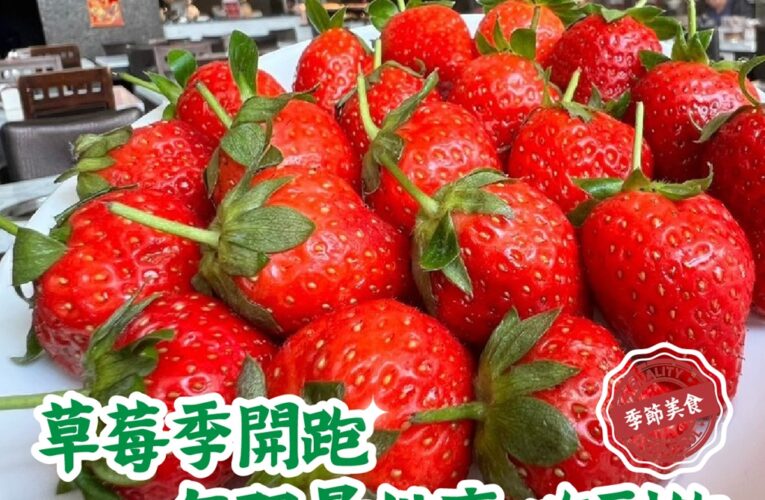 草莓控必衝！羽葉麻辣火鍋推莓好三月 「哈根達斯」週末放題吸客 六人同行升級999和牛