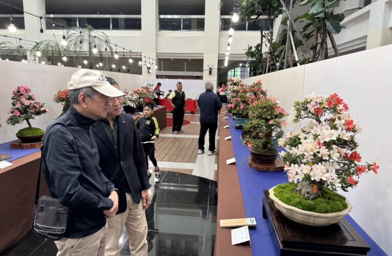 皐月花潮翻轉城市氣質　皐月杜鵑花季展4/4-4/12豐原陽明大樓登場