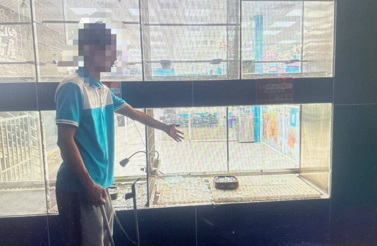 誤催油門撞破寵物店玻璃　19歲騎士闖禍嚇壞店內萌寵