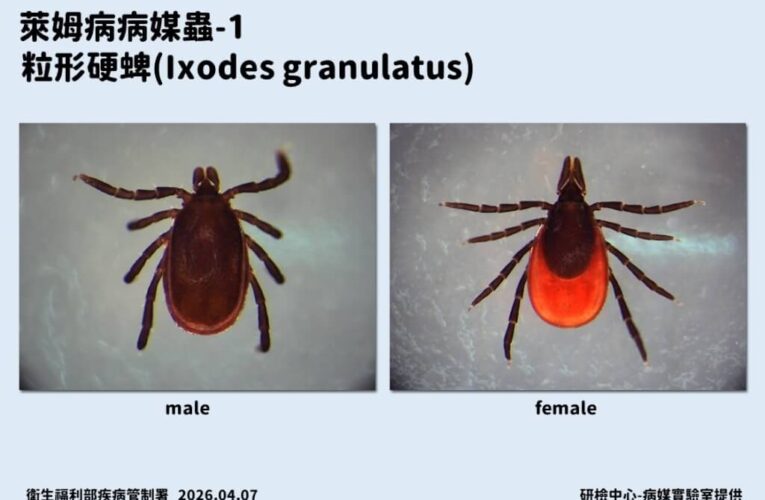 全球萊姆病病例攀升　台灣現首例境外移入