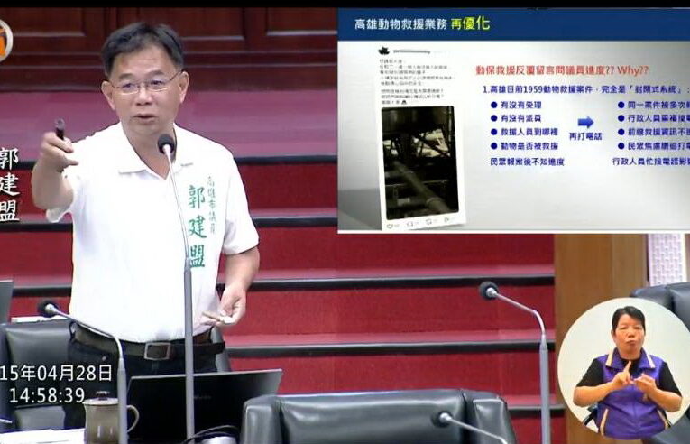 高雄進入「喵城市」世代 2025年貓犬登記數超越新生兒2.5倍 郭建盟議員促市府強化1959動物通報服務