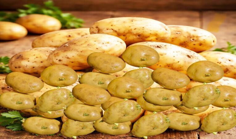 台灣餐桌危機：發芽馬鈴薯背後的食安、體制與信任博弈