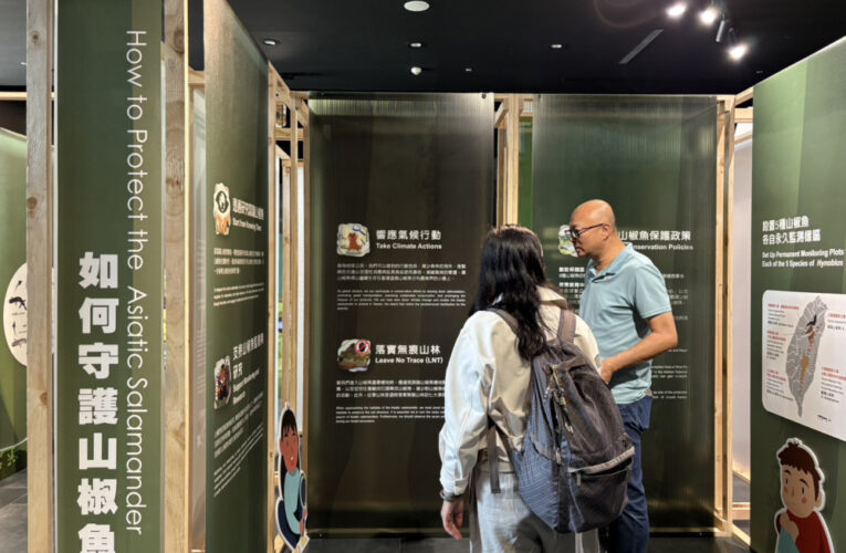 南市圖推「走進雲霧森林 — 探索山椒魚特展」 深化生態教育