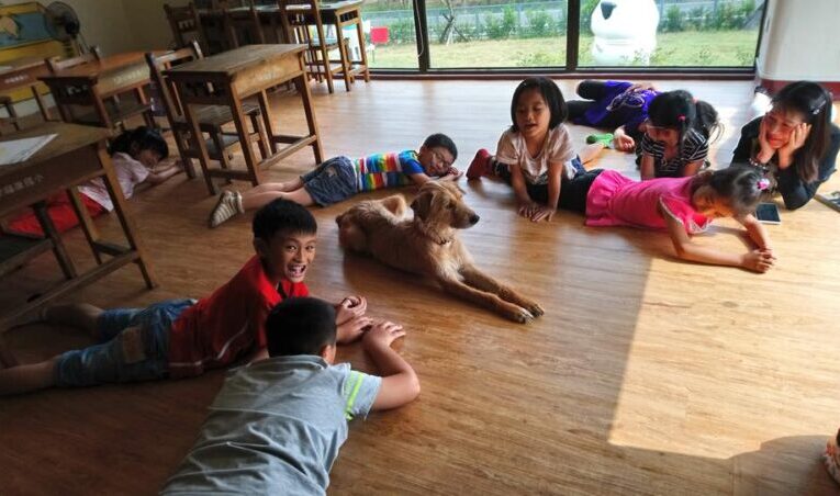 高雄市首創「樂陪犬」陪跑 4月啟動 號召跨世代報名當「浪浪守護者」