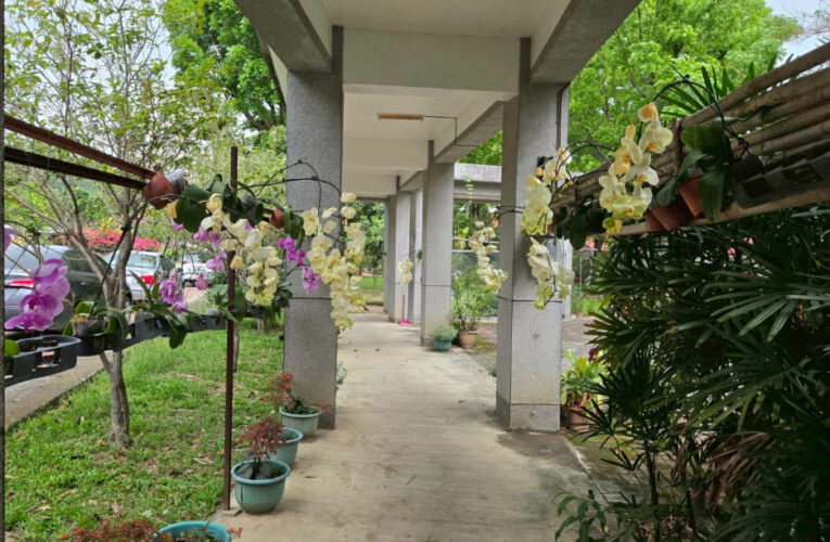 庭園蘭香環境優化 白河榮家獲贈蘭花共創優質空間 