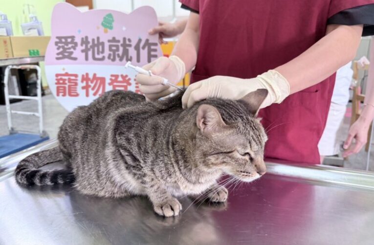 屏東縣農業處家貓登記絕育送禮券 5月1日開跑