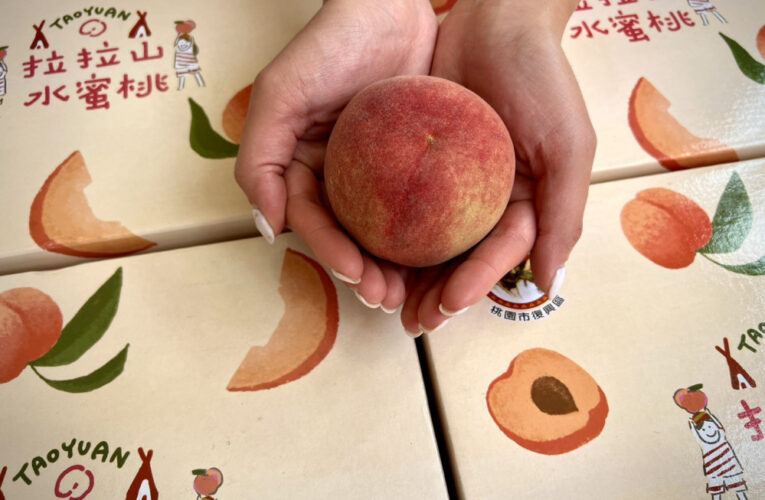 鮮甜首發！桃園拉拉山媽媽桃產季正式啟動　自4/13起預購開跑