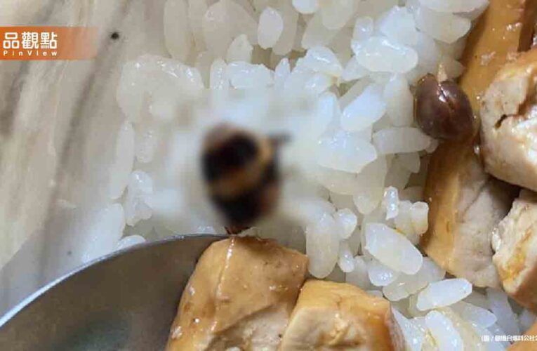 君悅排骨「飯有蟑螂頭」顧客嚇到！店家：換一碗給妳