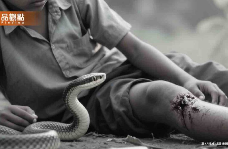 印度13歲男童遭蛇咬！家人信法師「泡恆河12小時」慘死
