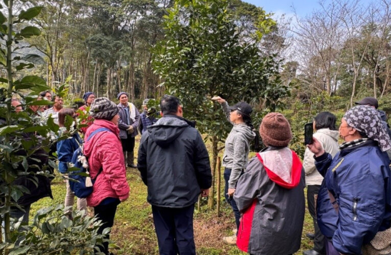 臺灣極危特有種南庄橙復育有成　三方聯名果醬勇奪世界大賽5金8銀殊榮