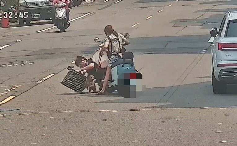 警察勤務無所不能 鳳警也成捕狗大隊 廣受民眾感謝
