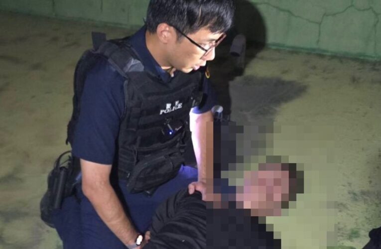 警民合作發揮效力 警匪頂樓搜捕火速緝獲竊盜通緝犯