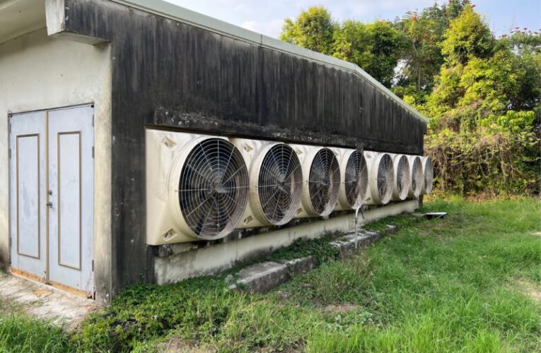 智能蛋雞舍省電新技術 兼顧減碳與產蛋效能