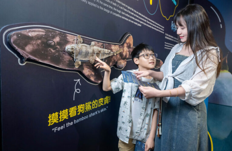 Xpark春季限定登場！解鎖「原來如此」4月3日盛大登場