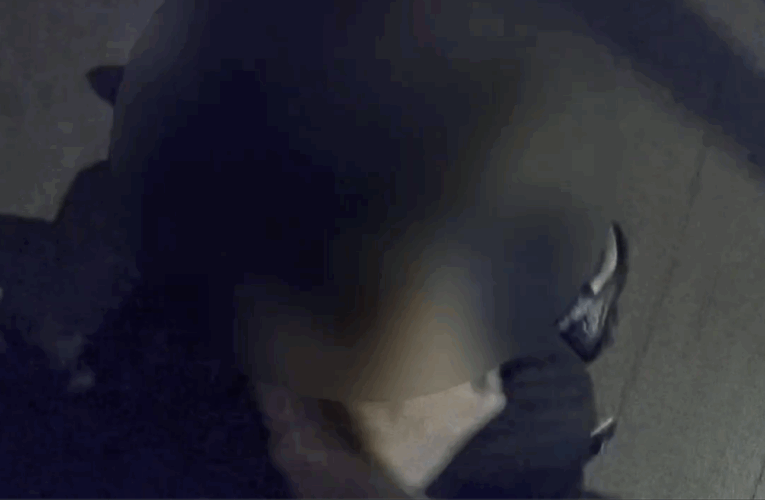 酒後口角演變街頭鬥毆　桃園警快打3分鐘到場逮7人送辦