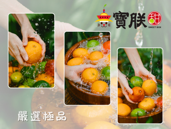鮮採現摘！「寶朕甜」頂級果物電商專注產地直送 夏季強打夏雪芒果、秋蜜哈密瓜 實踐「一年四季吃到好水果」