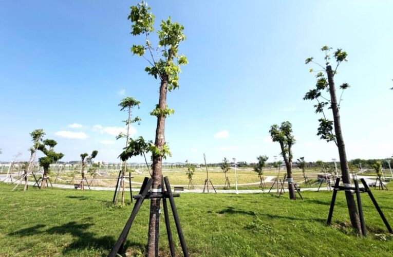 高市府汛期前全面查核出流管制設施 水利局督促業者落實防汛整備