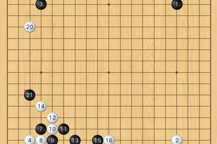 中腹大亂鬥之異軍突起（黑白子/觀戰）