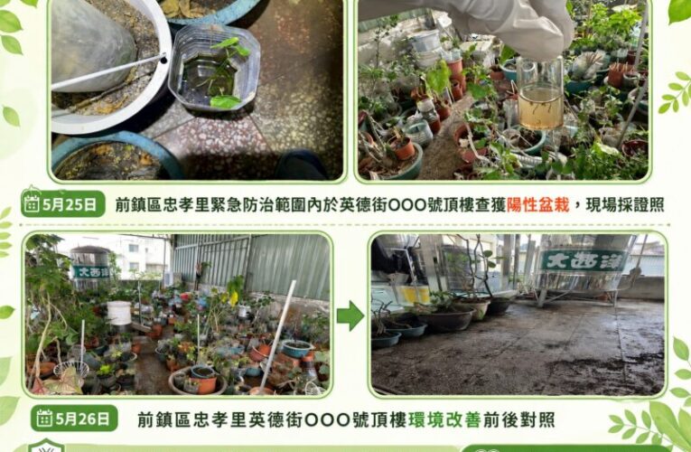 登革熱病媒蚊指數續攀升拉警報　高市衛生局查獲民宅頂樓植栽積水養蚊開單重罰