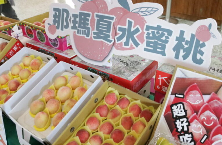 高雄市議會力挺那瑪夏 議長帶頭 香甜多汁水蜜桃買氣旺
