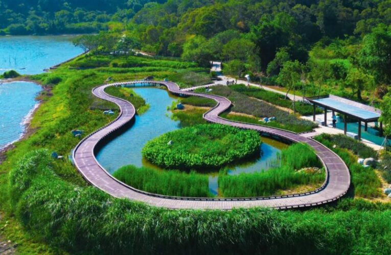 2026高雄乘風而騎首場開賣即秒殺！「觀音湖生態單車遊」5/30熱鬧登場