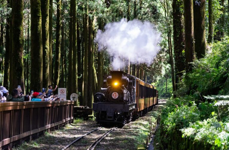 暑假限定開跑！阿里山蒸汽火車遊程錯過不再