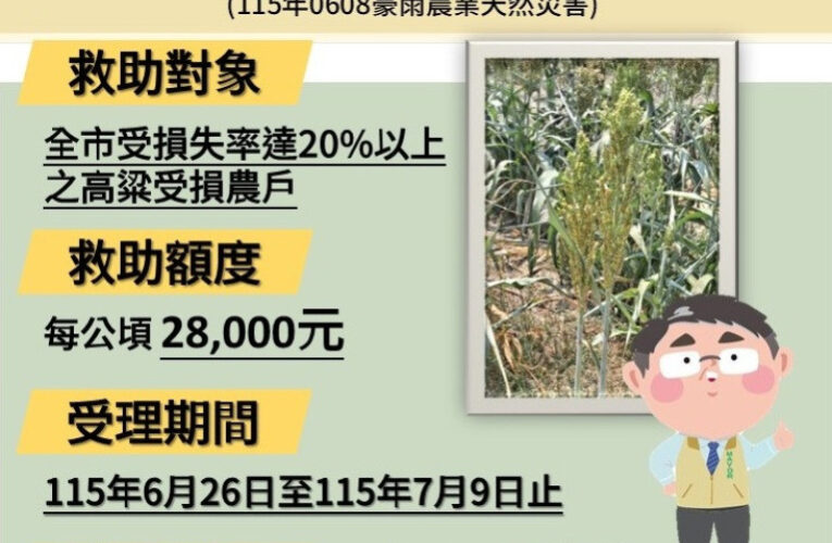南市高粱0608豪雨災損！自6/26-7/9受理現金救助申請