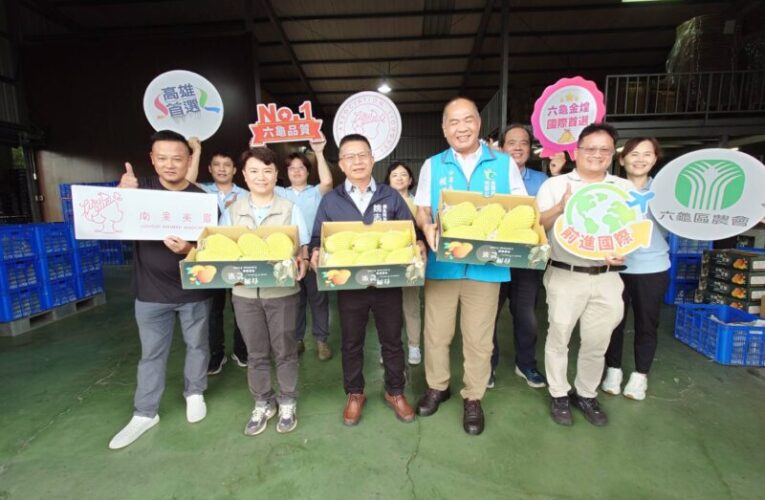 六龜農會領航首櫃外銷新加坡 高雄金煌芒果甜蜜登場！