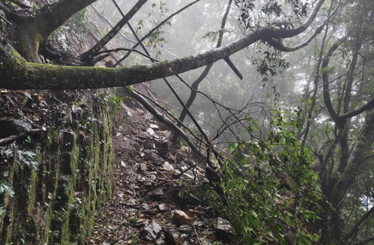 遇豪雨崩塌緊急搶修　霞喀羅國家步道21.8K處(近養老端)暫停開放至7/20