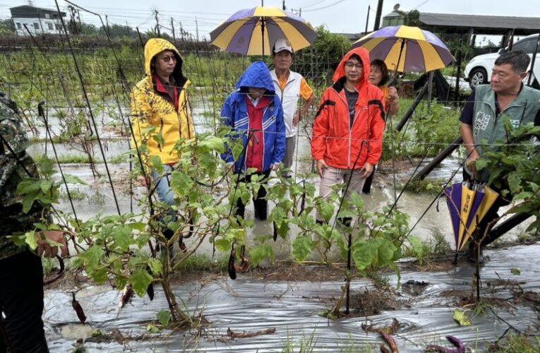 6月豪雨連連造成屏東農損 屏縣府爭取農業部天然災害救助全品項免勘
