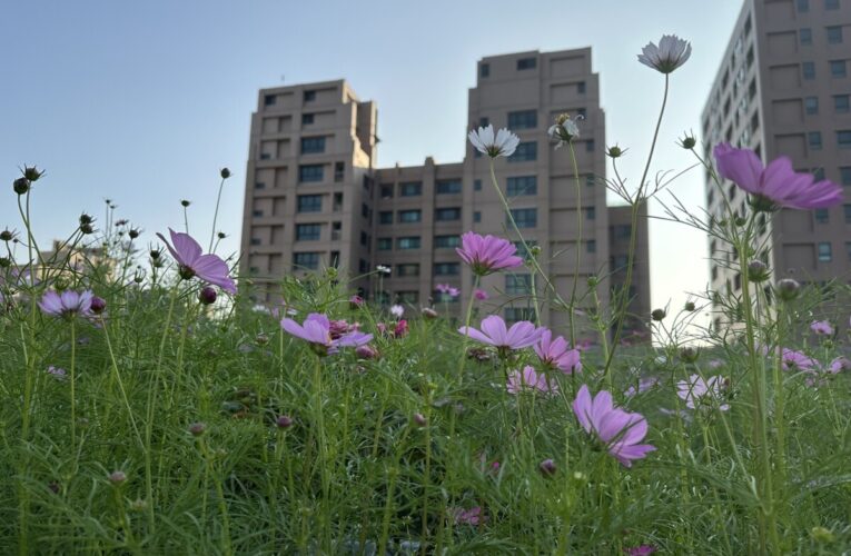 高市綠化補助再一波 補助二階開跑最高80萬元