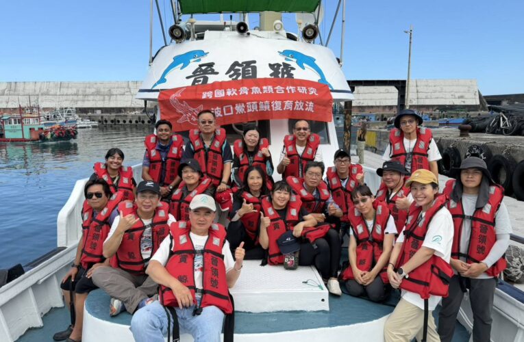 海保署推動波口鱟頭鱝跨國復育行動 結合國內外專業團隊共同守護波口鱟頭鱝