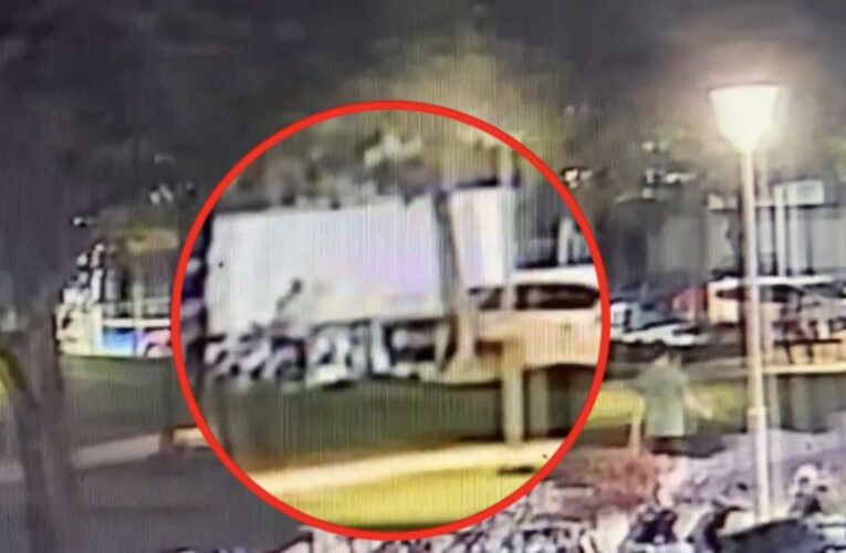 涉持石頭砸毀公車玻璃　左營警漏夜偵查速逮犯嫌到案