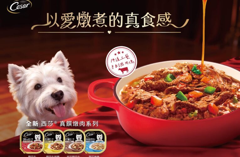 西莎全新「真饌燉肉系列」營養、美味、為毛孩補充夏天所需水分