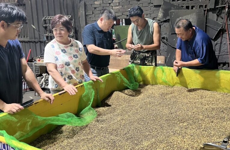 端午前豪雨「重創花蓮壽豐豆田」！張峻率隊會勘籲速辦災損救助