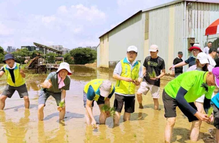 社會共融公益體驗趣　桃園郵局攜手保戶親子下田插秧共築幸福田園