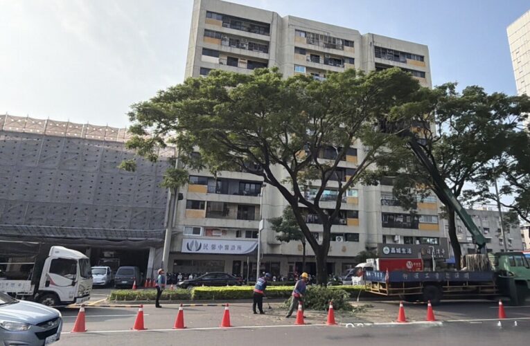 高雄建置380處行道樹智慧監測點 提前防範倒樹風險