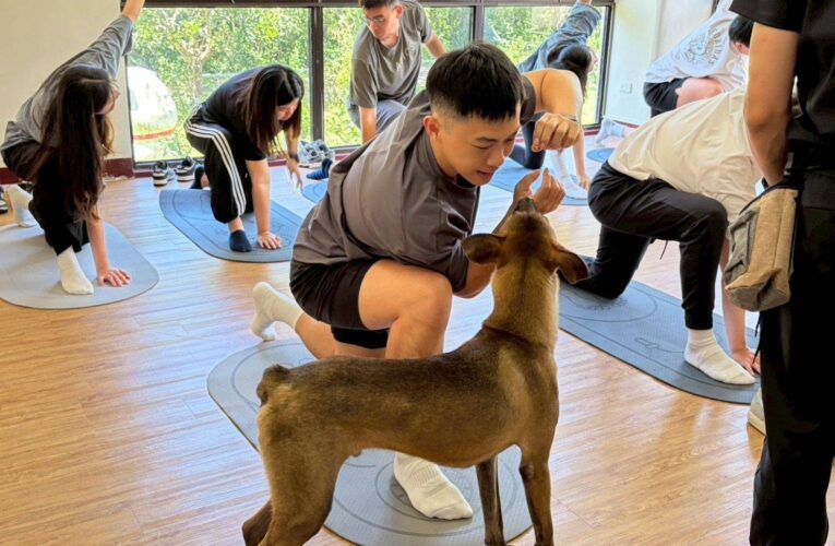 爆肌教練全被融化！健身工廠百人熱血挺公益 前進燕巢動物保護關愛園區 陪伴毛孩療癒一夏！