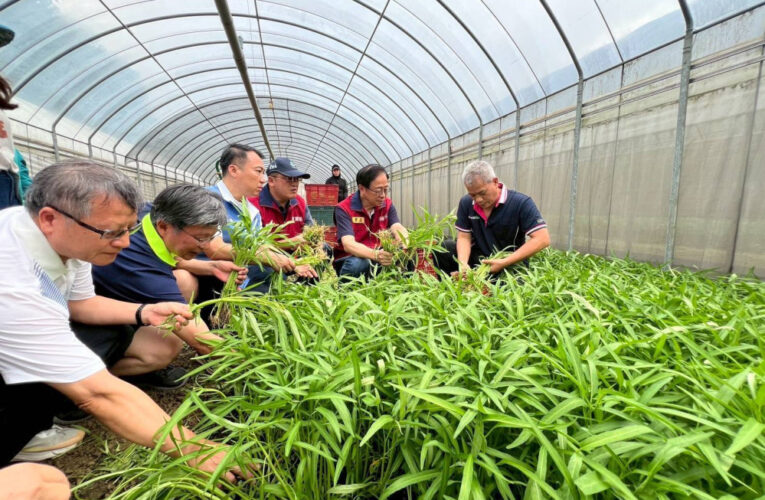 守護農民收成與市民菜籃　張善政視察蔬菜班防颱整備及稻穀烘乾調度作業