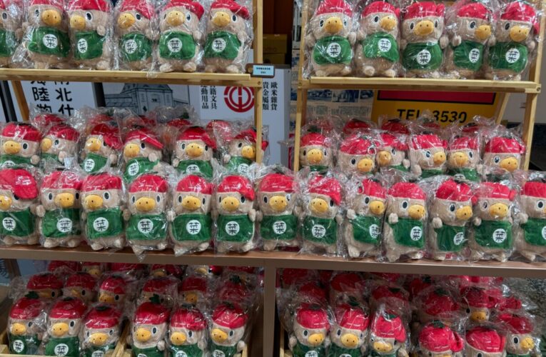 菜奇鴨玩偶線上購買7月22日開跑！  第二波西市場快閃結合夜奇鴨玩偶8月登場