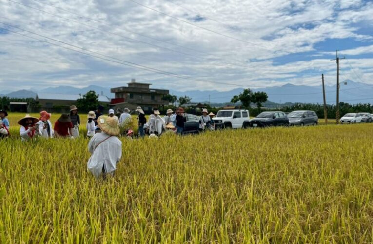 高雄客家米食節暖身開跑　美濃食農小旅行親子必玩