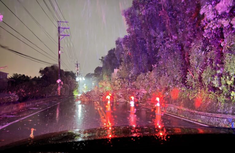 強風吹倒路樹阻路　東勢警24小時待命迅速排除危害