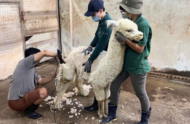 迎接暑假  壽山動物園推出「動物消暑、親子闖關、免費入園」三大亮點活動