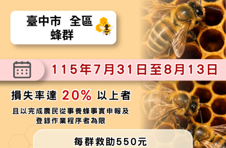 乾旱致蜂群蜜源缺乏受損　中市蜂農8/13前可申請現金救助