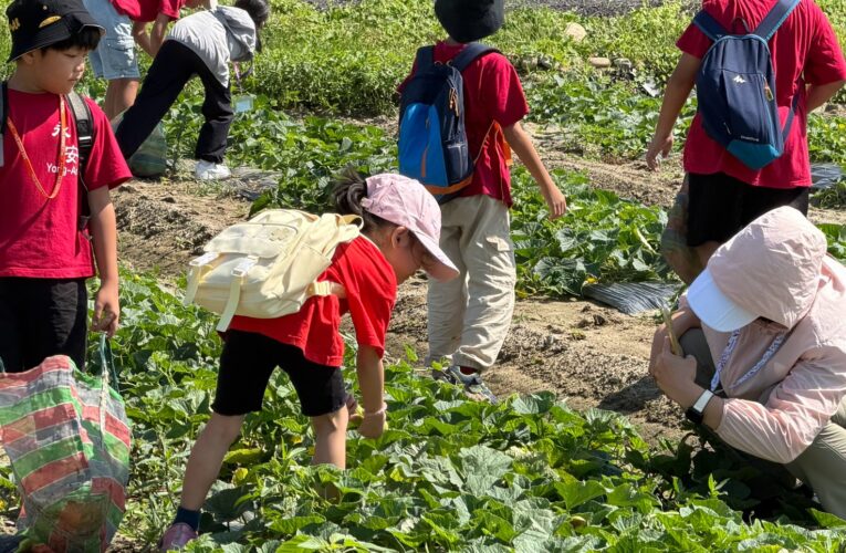 世代共融學食農　越瓜體驗落實產地到餐桌