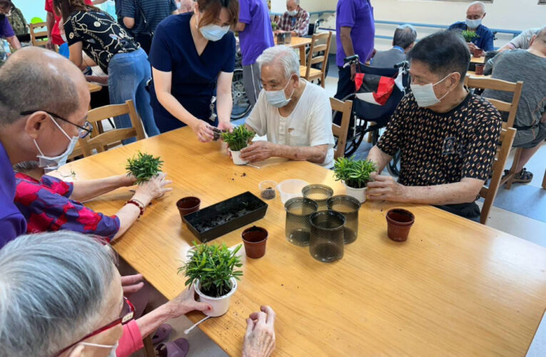 彰化榮家長輩DIY羅漢松植栽 療癒身心樂享園藝時光