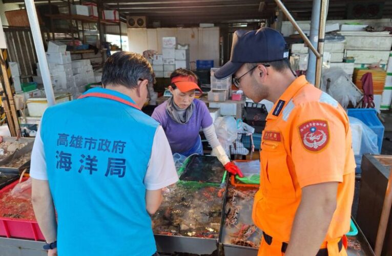 高雄海洋局籲守護蟹媽媽　落實「三不」保育蟳蟹資源