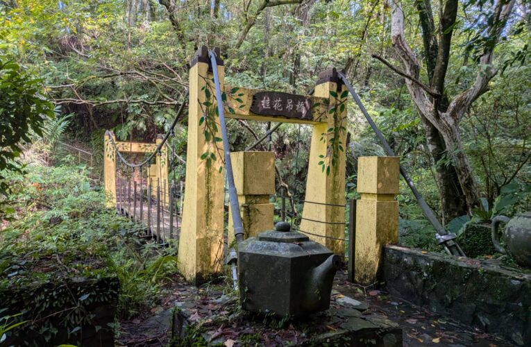 南港舊莊茶山以桂花步道與五感體驗　重新定義台北後花園